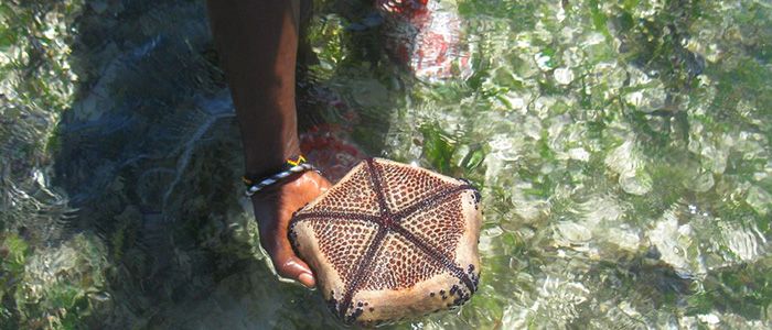 Watamu Marine National Reserve
