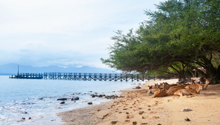 West Bali National Park, things to do in Bali