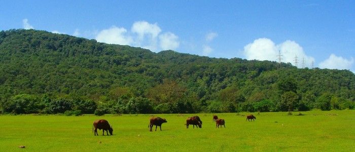 Western-ghats.jpg
