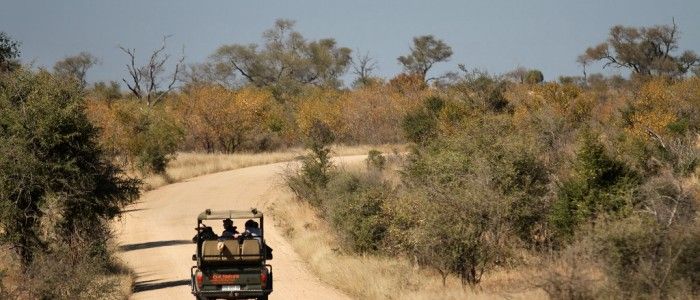 South Africa Safaris: Where To Go? Why Can't You Miss One?