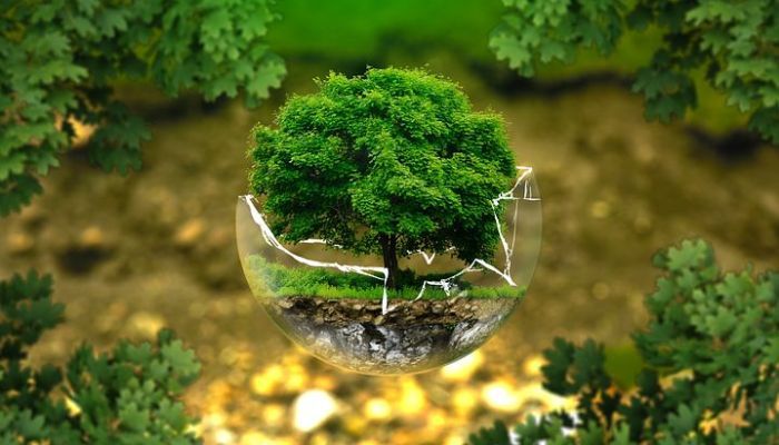 9 Smart & Easy Tips On How To Travel Sustainably : A Guide