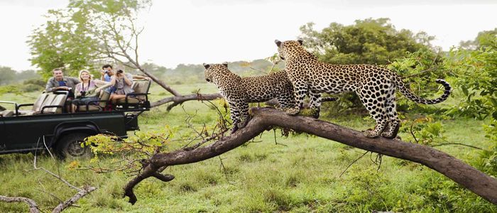 All About South African Visas: Why Do You Need One And How?
