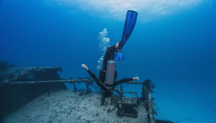Zainab Wreck