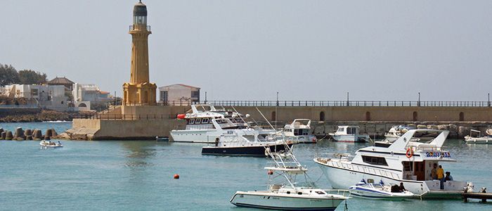 alexandria shore