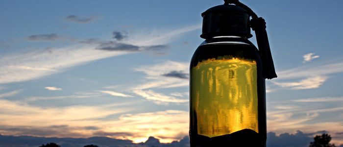 Morocco Shopping Guide: Argan Oil