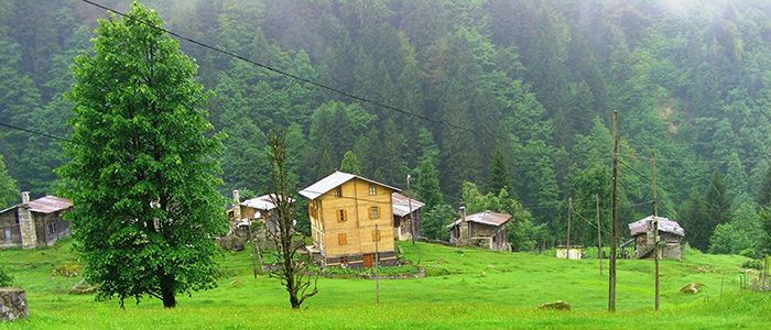 ayder valley