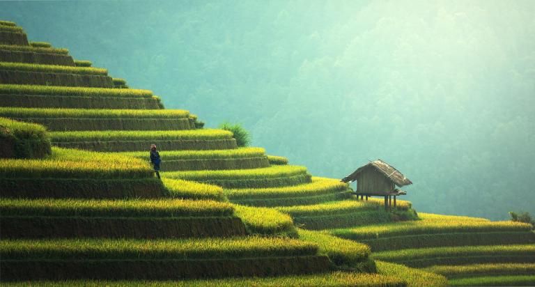 bali workation