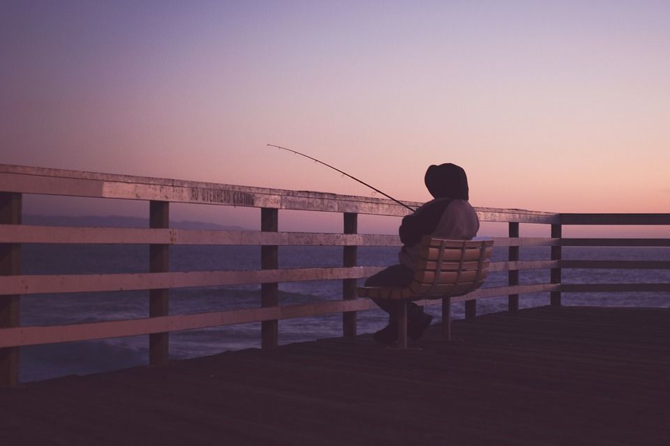 What Kind Of Nature Traveler Are You?