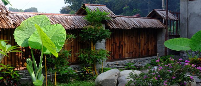 bukit lawang hut