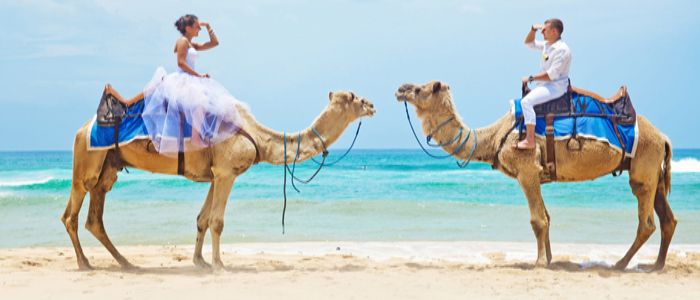 camel safari bali nusa dua