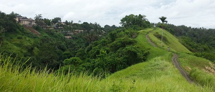 campuhan ridge walk