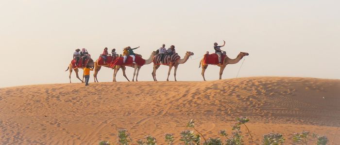 desert-safari-in-dubai.jpg