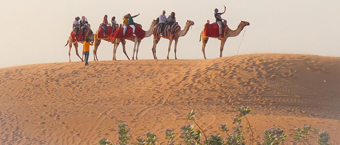 dubai desert camel ride