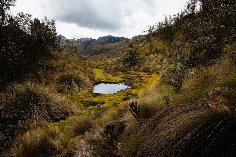 ecuador