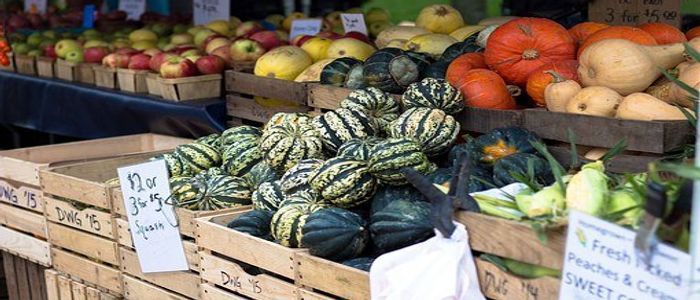 things to do in Czech Republic - Farmers Market
