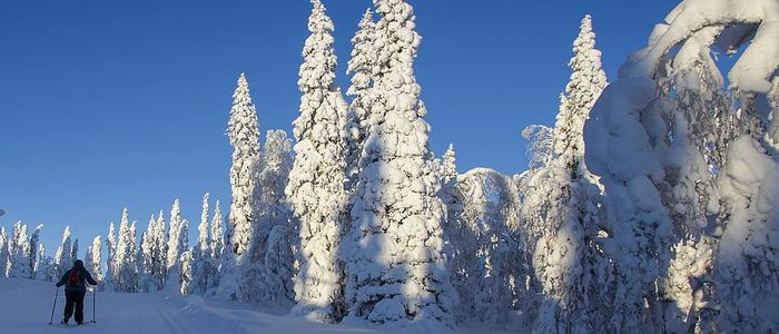 safest destinations for solo female travelers - Finland