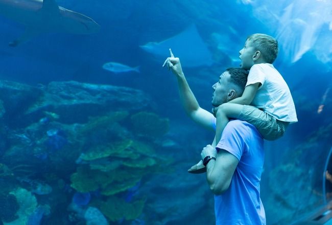 Escape The Ordinary: 10 Unusual & Fun Things To Do In Dubai