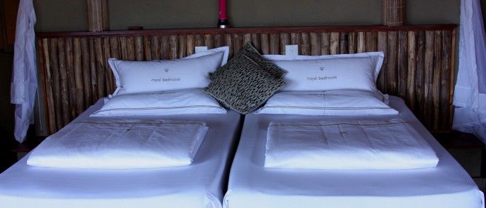 What to Expect when Glamping in Africa?