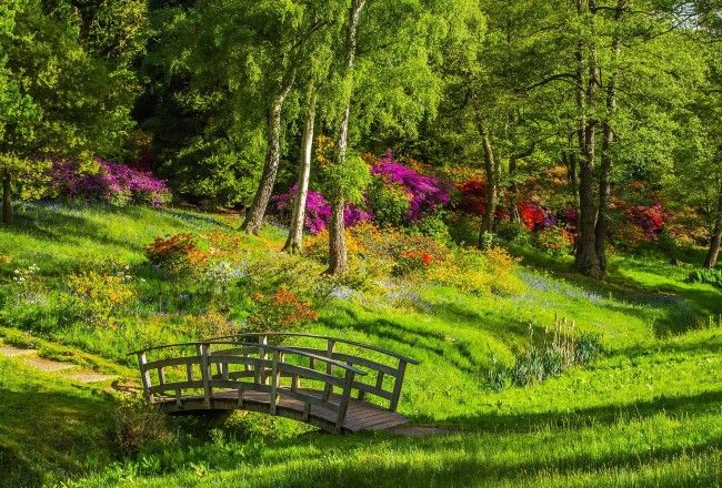Top 10 Greenest Places On Earth For Serene Getaways