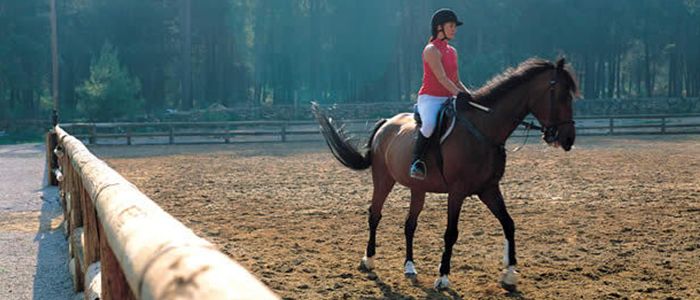 horse riding