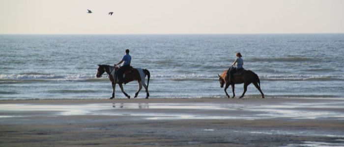 horse-riding
