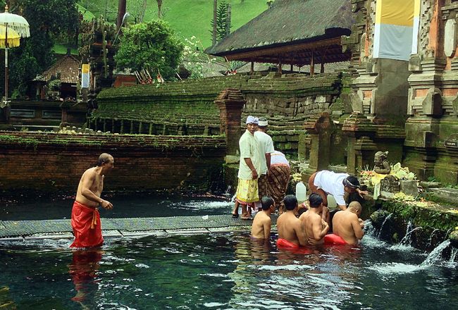 5 Incredible Things To Do In Ubud, Bali