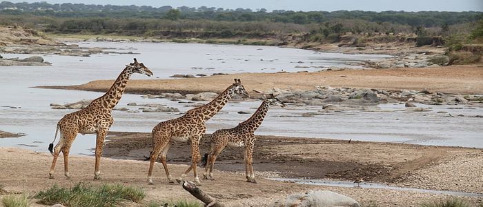 kenya-1.jpg