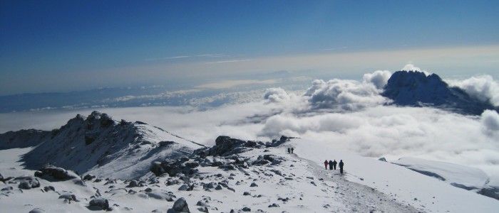 kilimanjaro