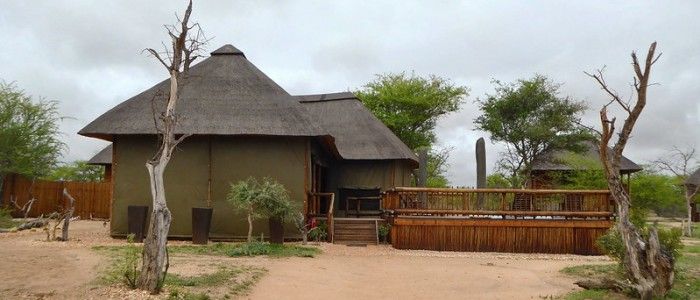 Top Destinations for Glamping in South Africa - kruger national park
