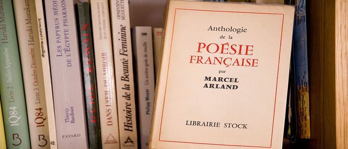 Travel to France from Home-What to Read?