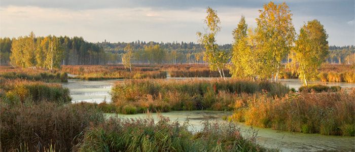 losiny ostrov national park
