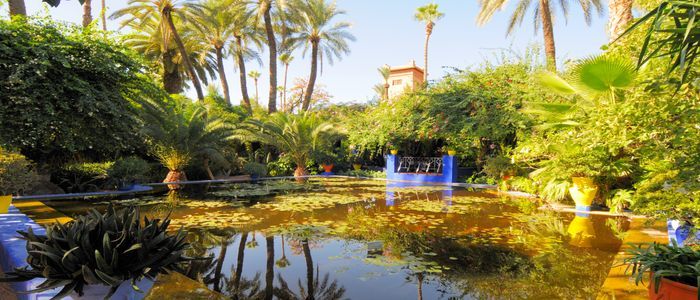majorelle-Garden-15.jpg