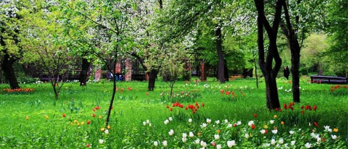 moscow beautiful parks