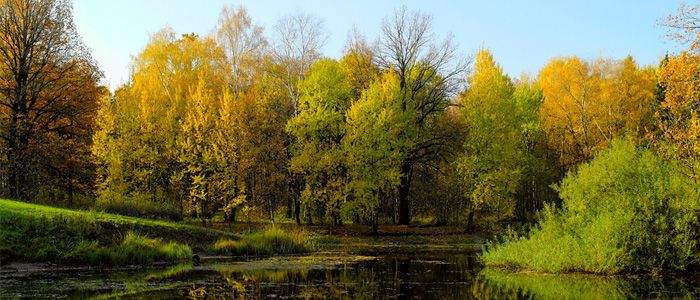 moscow botanical garden