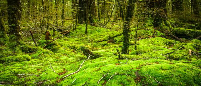 Best Tourist Destinations - New Zealand