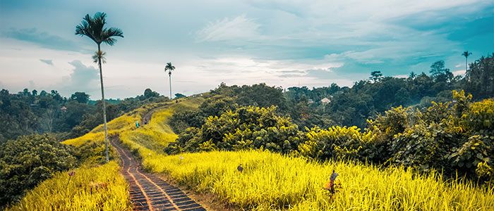 offroad places