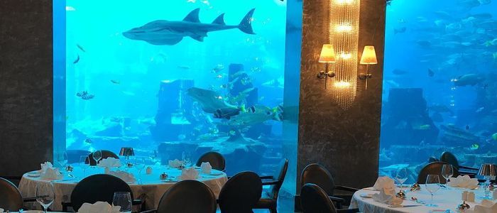 ossiano-the-atlantis-palm-pinterest.jpg