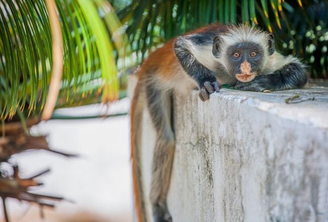 10 Exceptional And Exhilarating Hidden Gems And Places To Visit In Zanzibar
