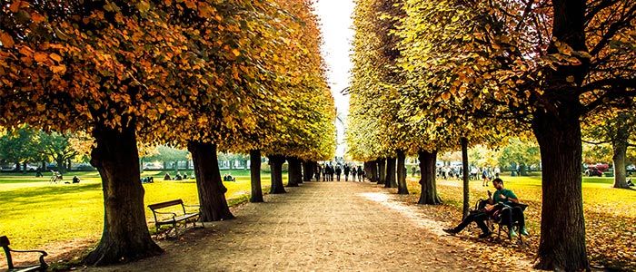 rosenborg-castle-gardens.jpg