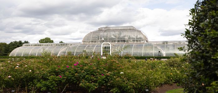 royal-botanical-gardens.jpg