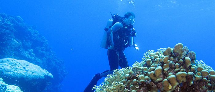 things to do in Egypt- scuba diving