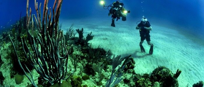 scuba-diving.jpg