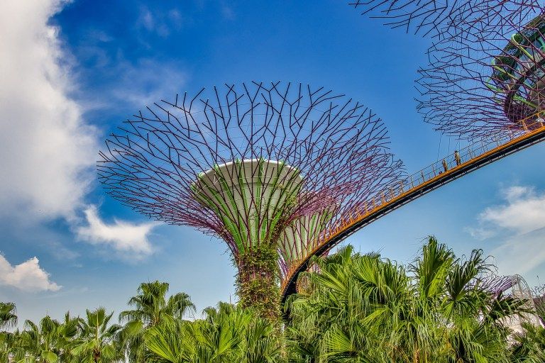 singapore botanic gardens