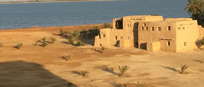siwa oasis