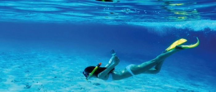 snorkel