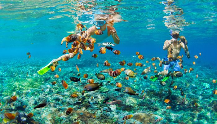 Offbeat Things To Do In Bali