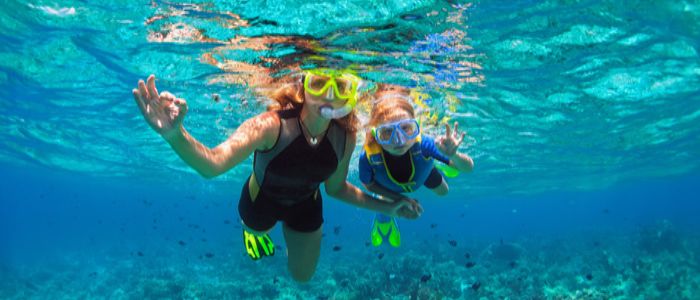 things to do in Ubud and Nusa Dua - Snorkel