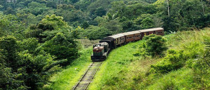 sri-lanka-5222494_1280.jpg