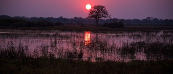 Guide to Africa Safari Holidays - Start Early