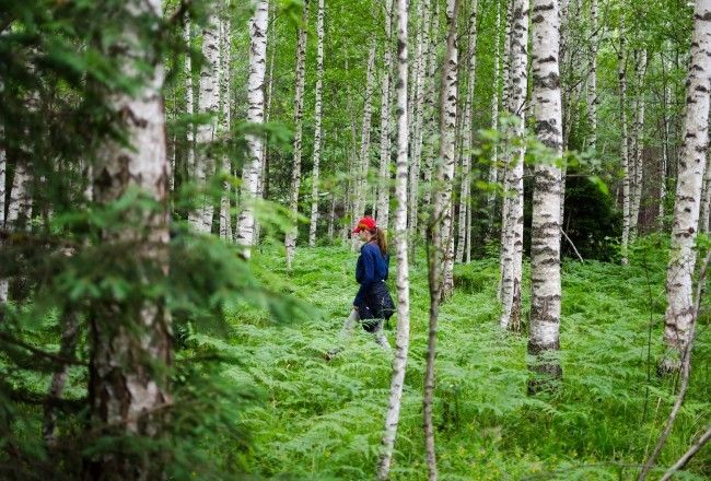 Why Is Sustainable Travel Important? 7 Top Attractions, Benefits And More